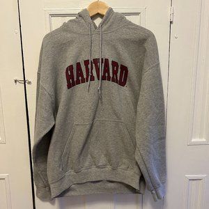 Harvard Hooded Sweatshirt by Gildan, Large in Gray